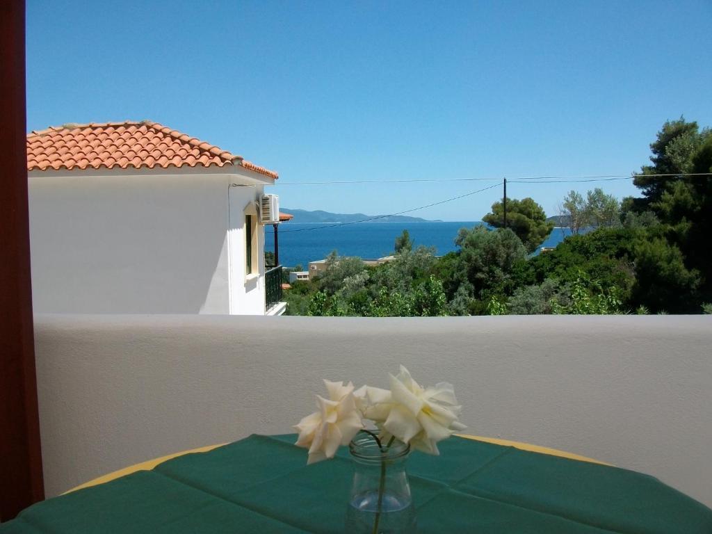 Apartment Teozenia Achladies (Skiathos)