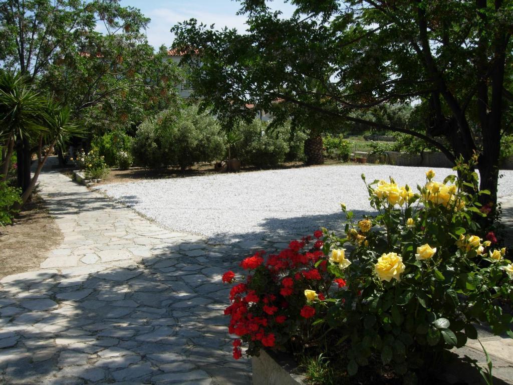 Apartment Korali Ormos (Samos)