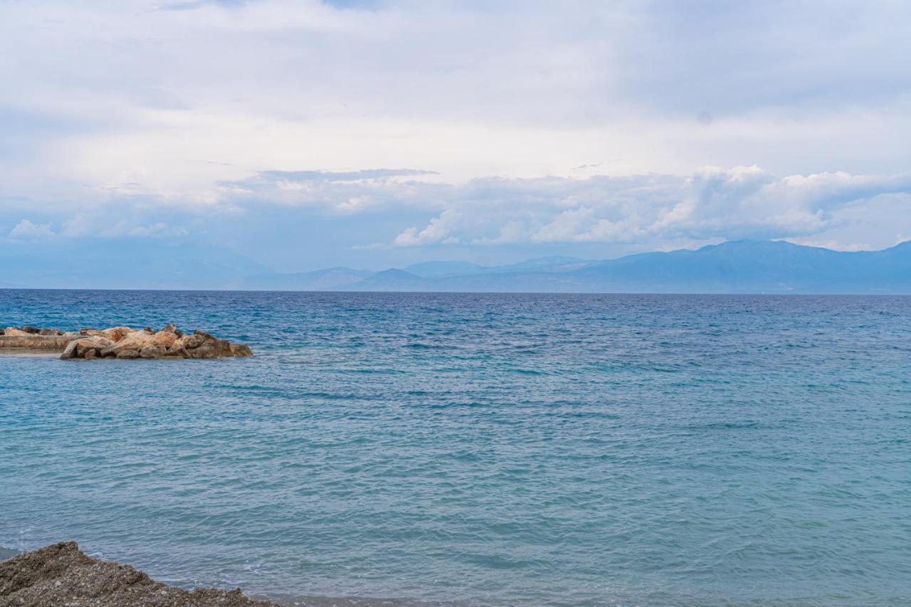 Apartment Your By The Sea For 3 In