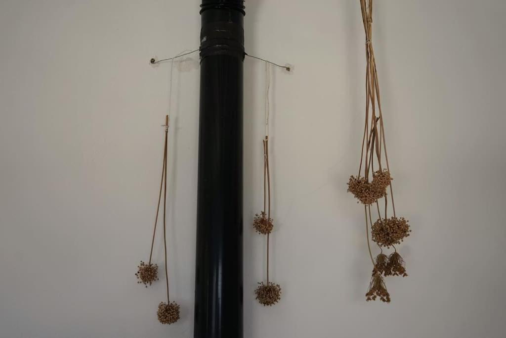 Artemis Livadi (Kythira)
