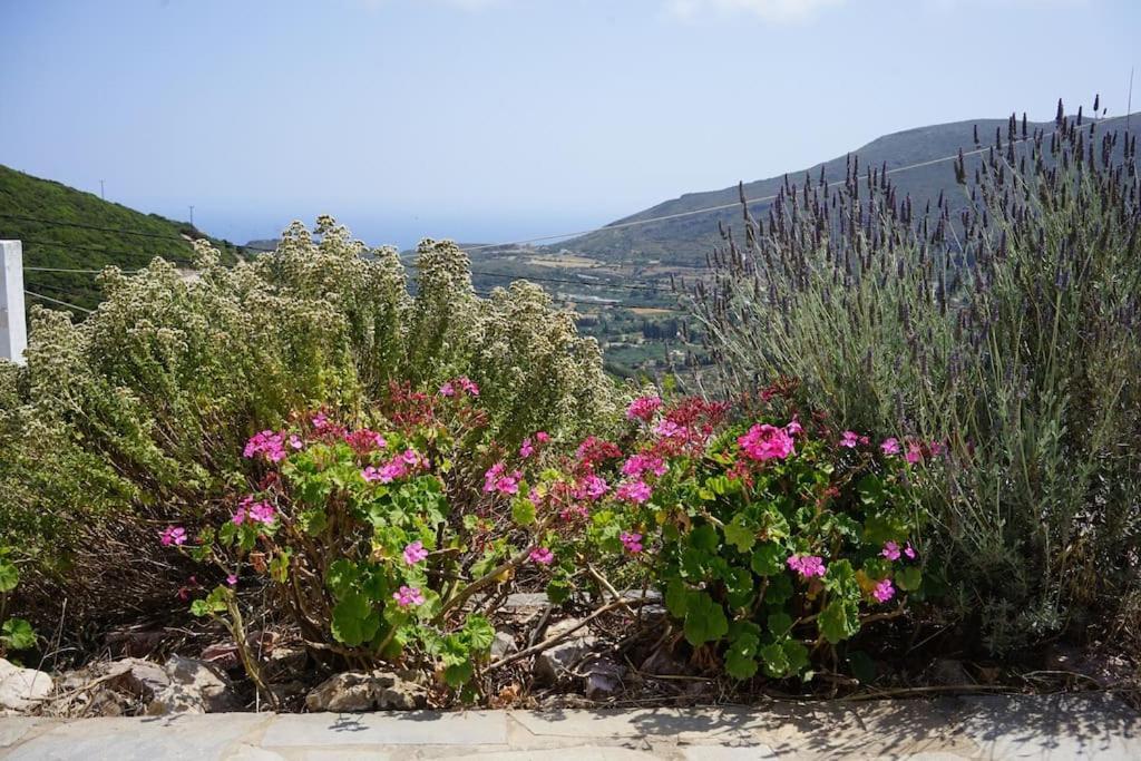 Holiday home Artemis