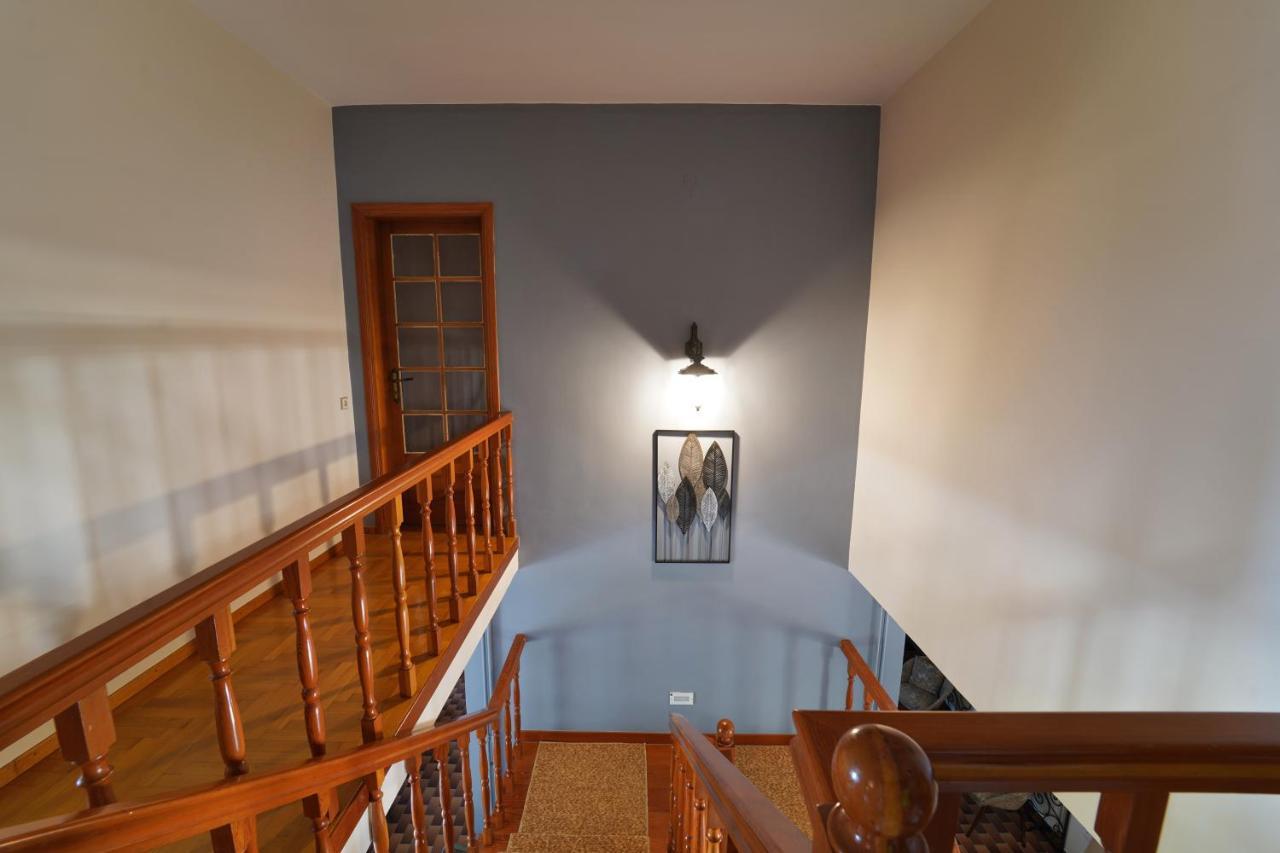 Villa Petrino Palaiontsiflikion