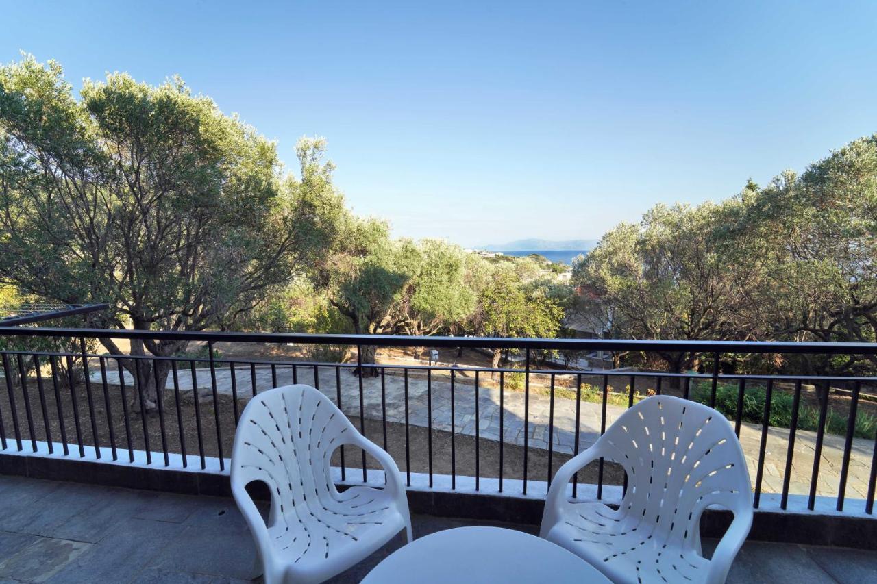 Villa Petrino Palaiontsiflikion
