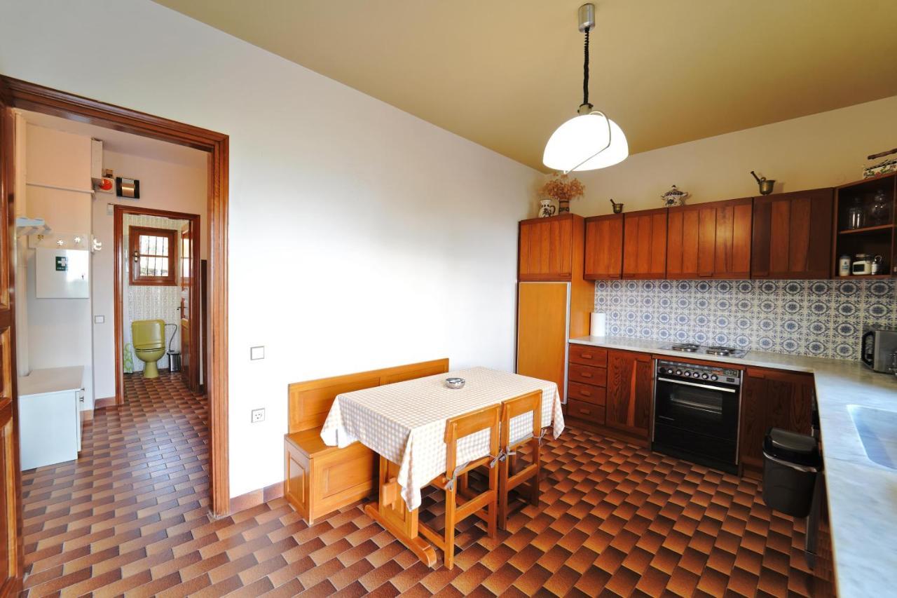 Villa Petrino Palaiontsiflikion