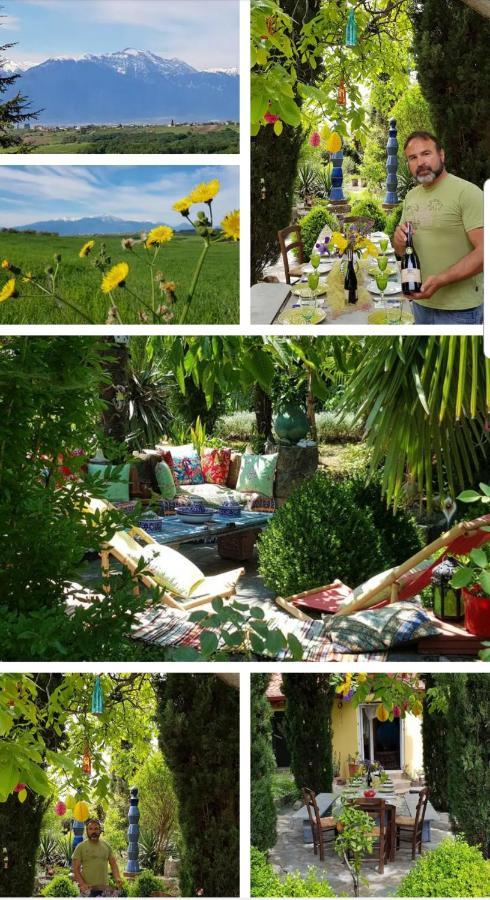 Villa & Gardens 2-bed In Sevasti