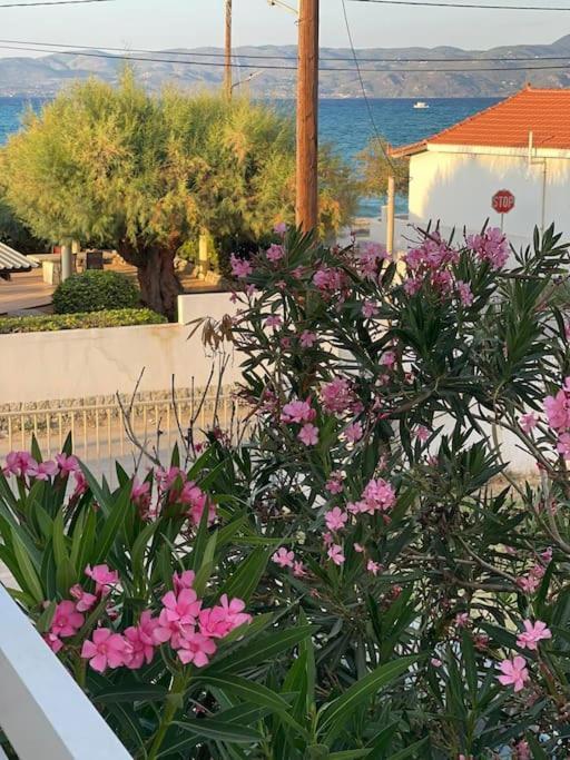 Chris View Holiday home