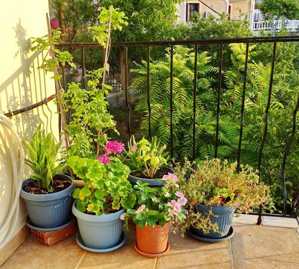 Apartment Marchie's Place - Spacious One Bedroom For Rent On Island *
