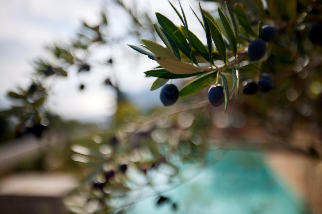 Angsana Corfu & 5* Benitses (Corfu)