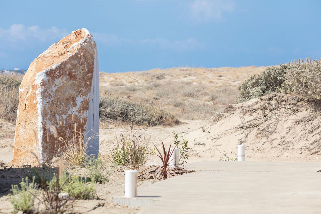 Hotel Ammothines Cycladic Agios Arsenios