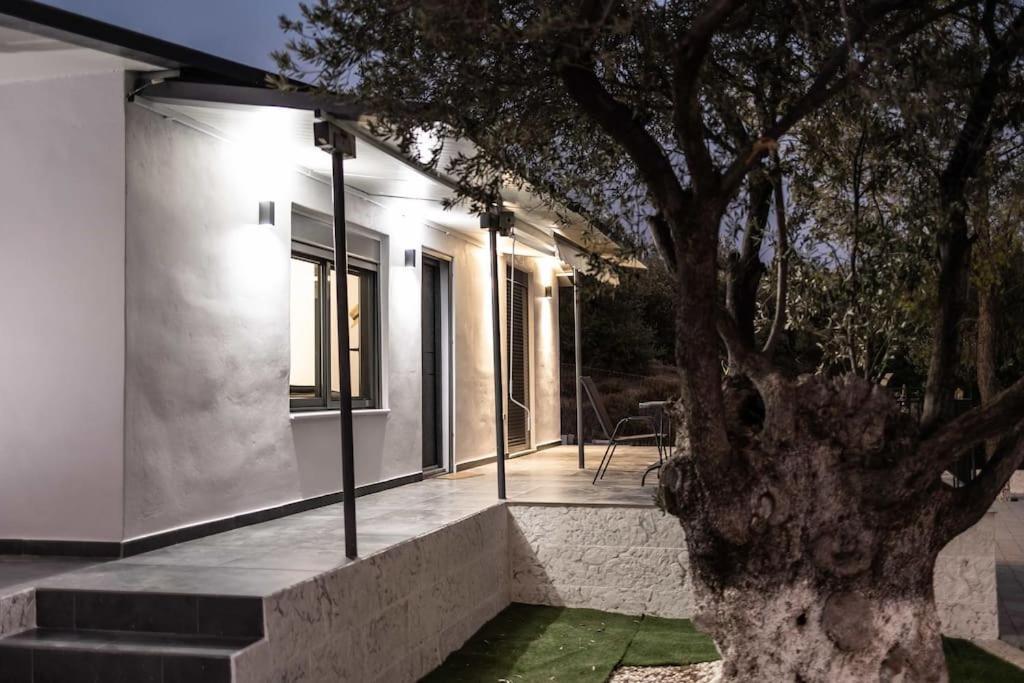 Domus Villa