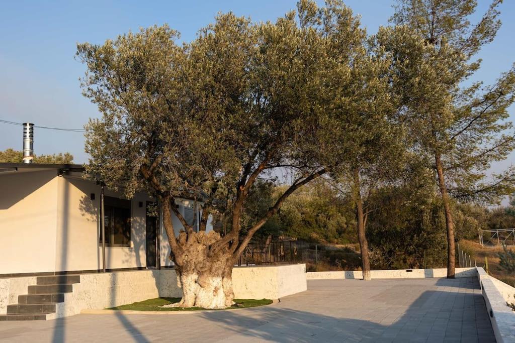 Domus Ermioni