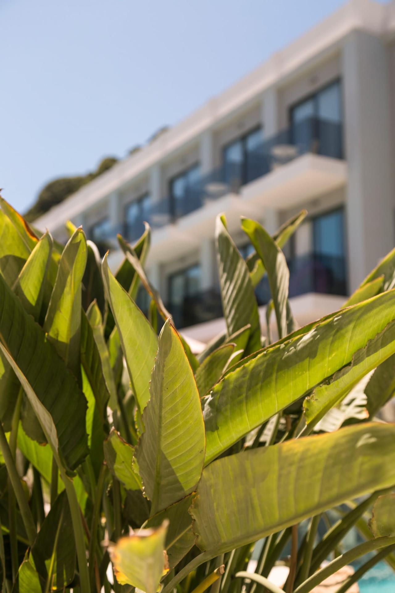Samian Mare Hotel, & 4* Karlovassi