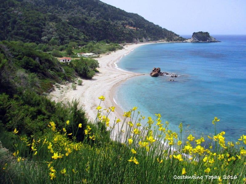 Samian Mare Hotel, & Hotel 4*