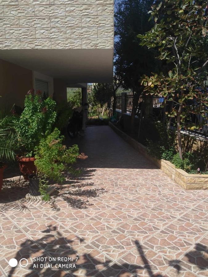 Apartment Babis House