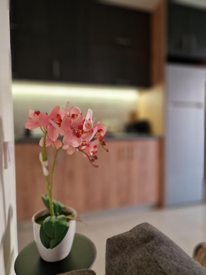 S N G/ View Apartment