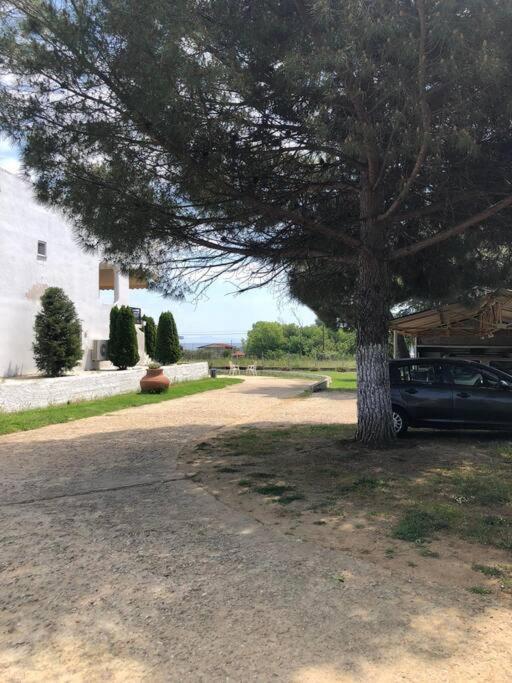 House Project Paralia Avdhiron