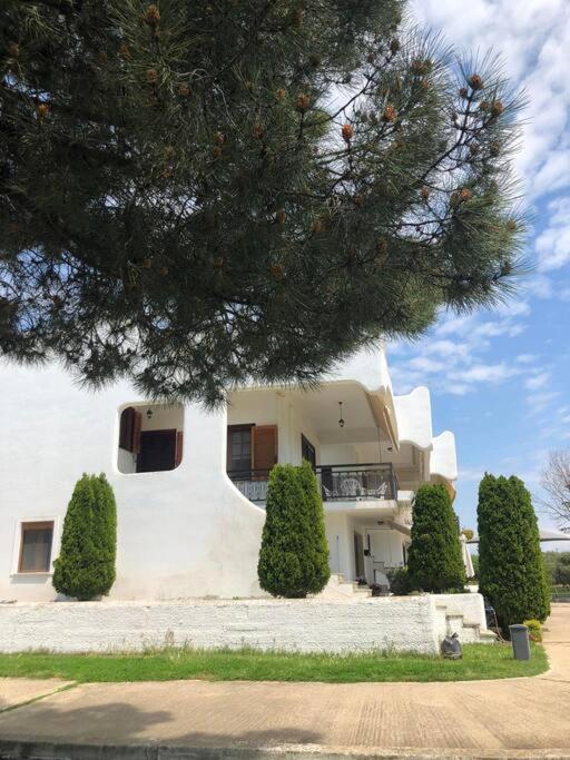 Holiday home House Project