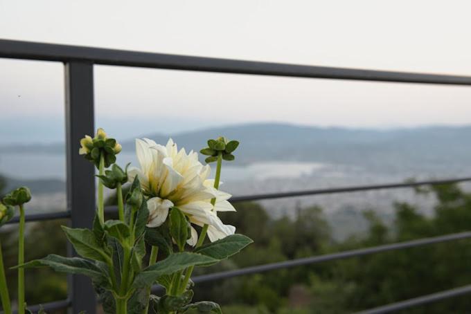 Silia's Secret Place Holiday home Volos