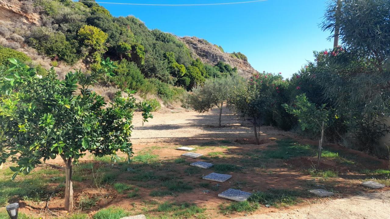 Holiday home Beachfront Oleanders House In Skala Skala (Kefalonia)