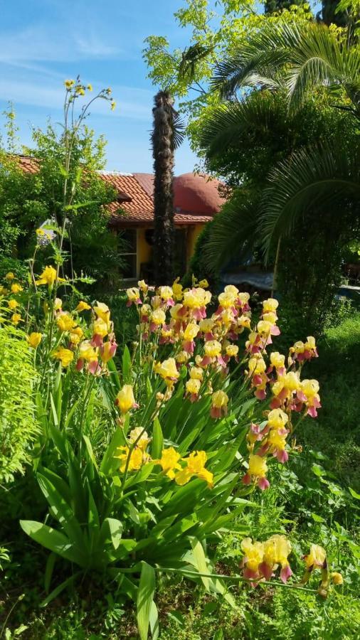 Villa & Gardens 2-bed In Sevasti Katerini