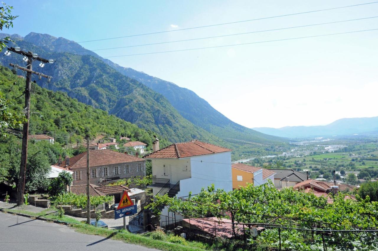 Grand Dentro Konitsa