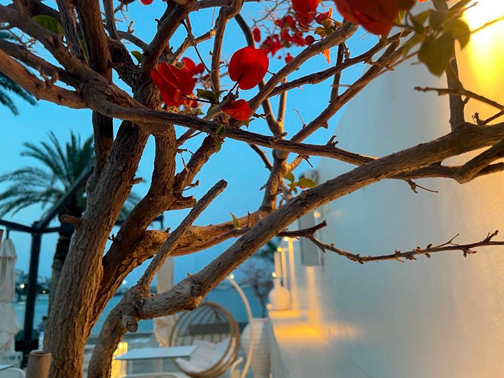 Lassion Golden Bay Hotel