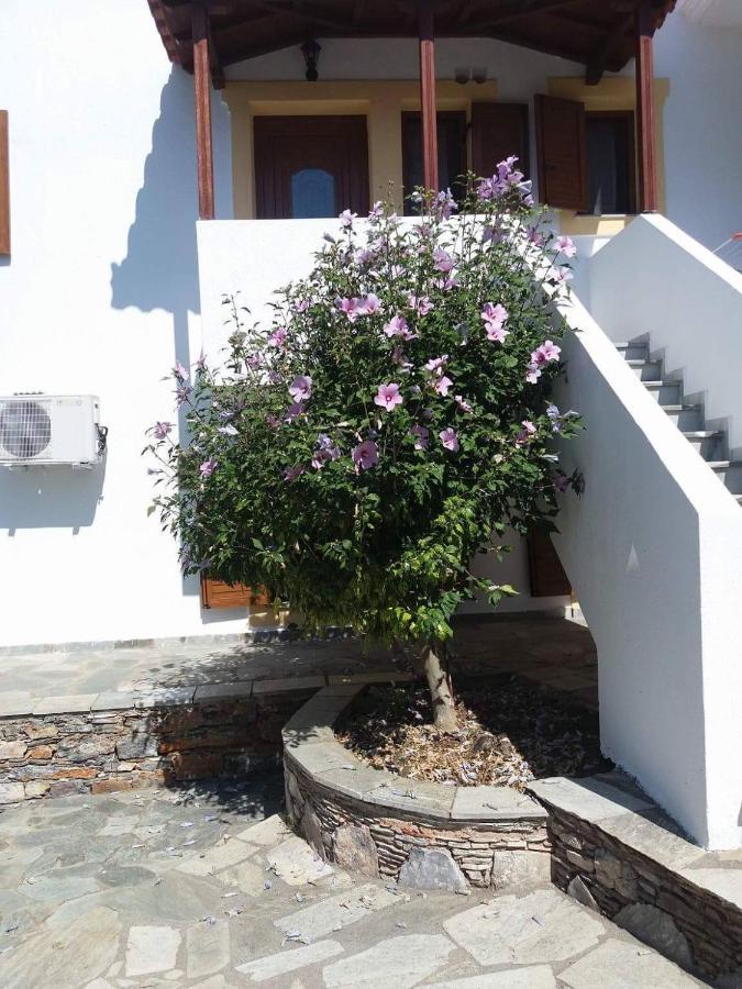 Niki * Panormos (Skopelos)