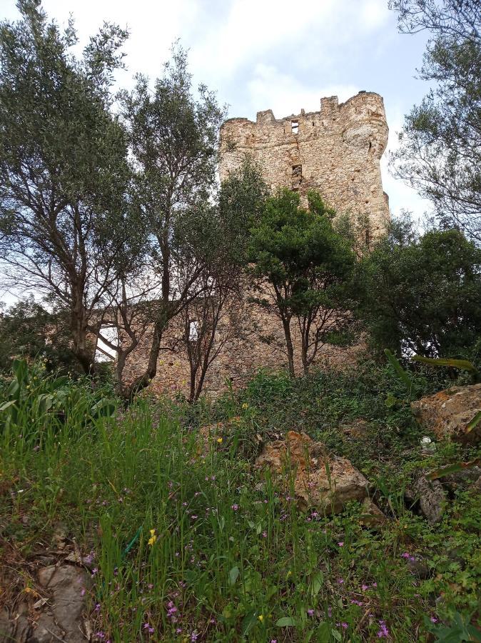 Nikos Panagiotareas House *