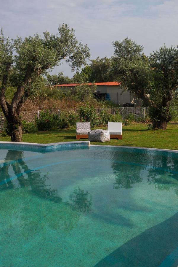 Domus Hospitality Aparthotel