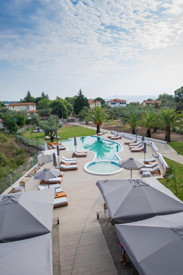 Domus Hospitality *