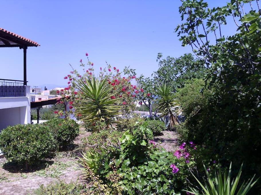 Explore Aegina Island