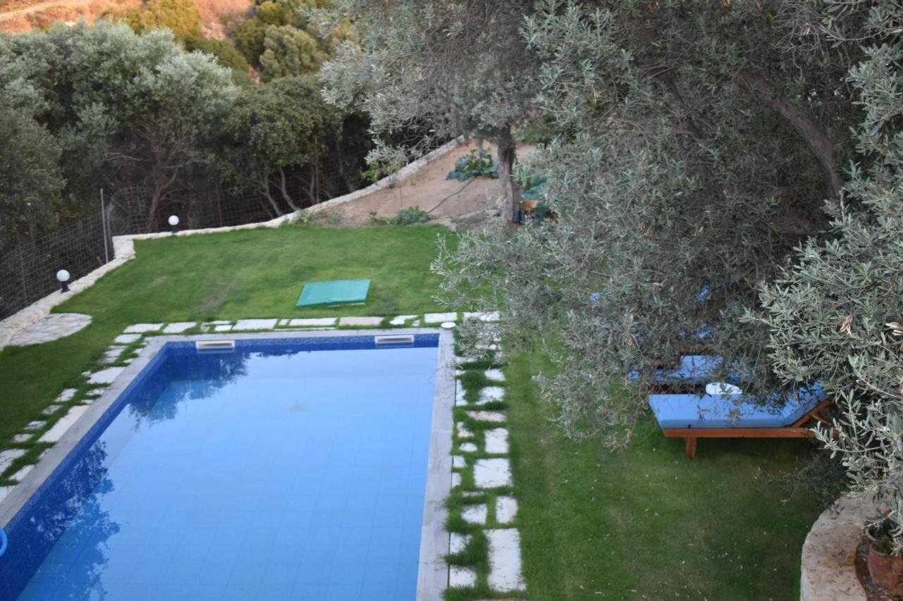 Villa Maroulas Natura Palace Giannoudi (Crete)