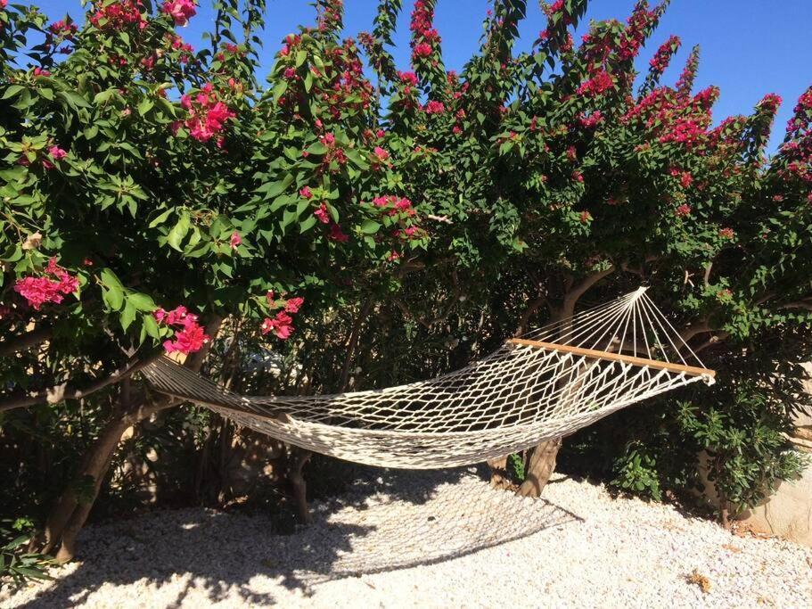 Letihome Parikia (Paros)