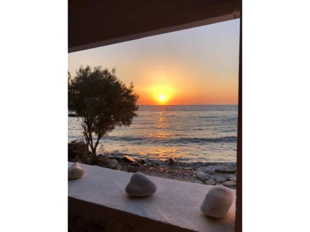 Seagull Syros Seaside Holiday home *