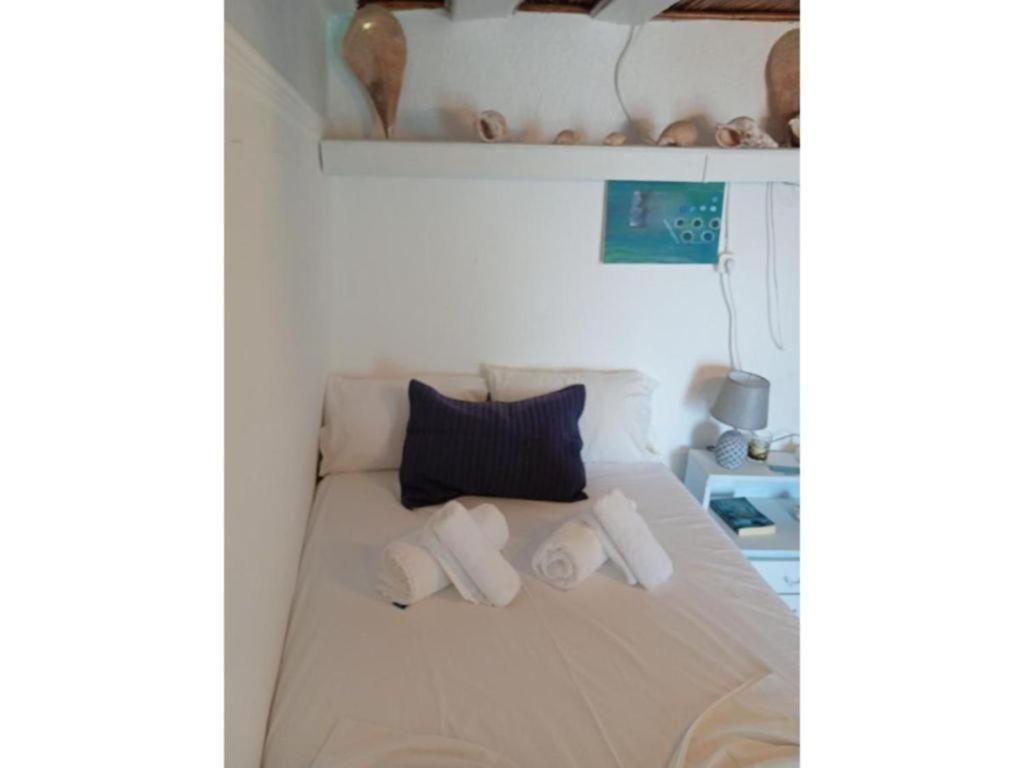 Seagull Syros Seaside Holiday home Ermoupoli