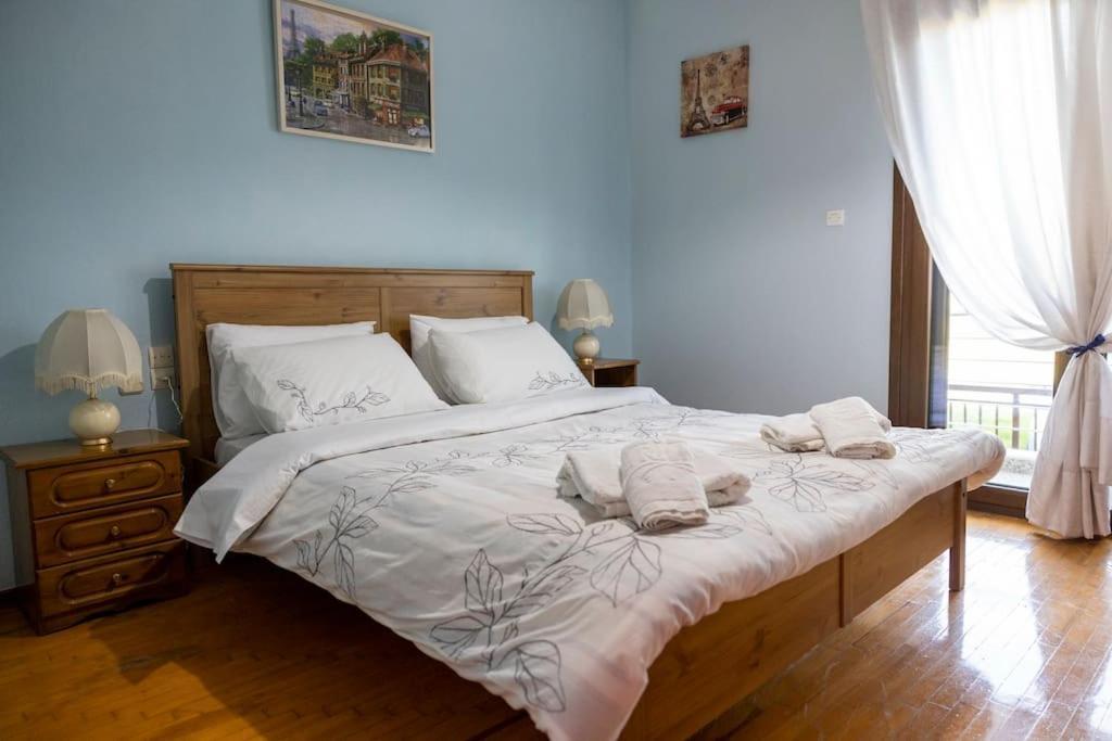Roula's Cosy Trikala (Thessaly)