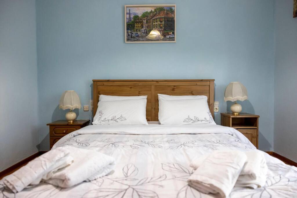 Roula's Cosy Apartment