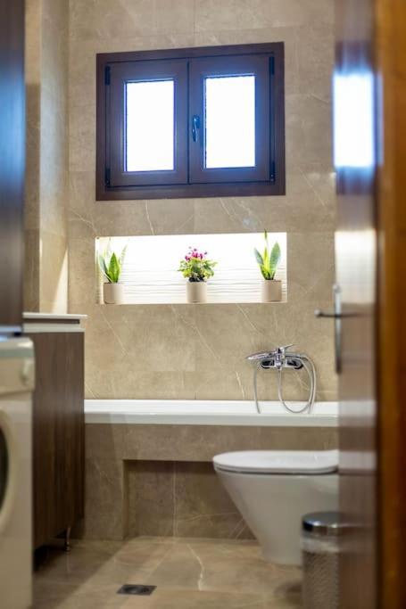 Roula's Cosy Apartment Trikala (Thessaly)