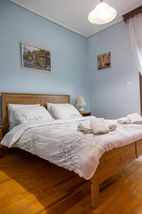 Apartment Roula's Cosy Trikala (Thessaly)