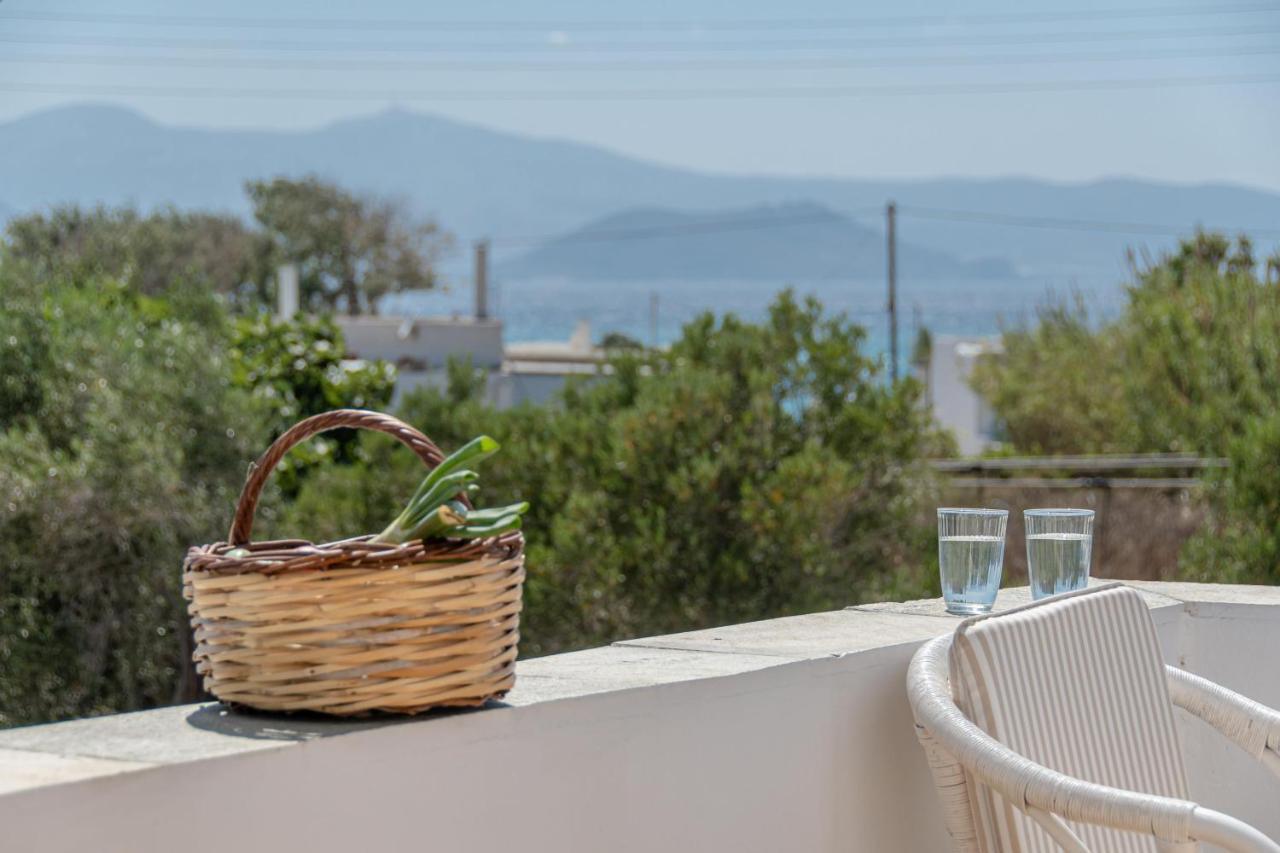 Farma * Agia Anna (Naxos)