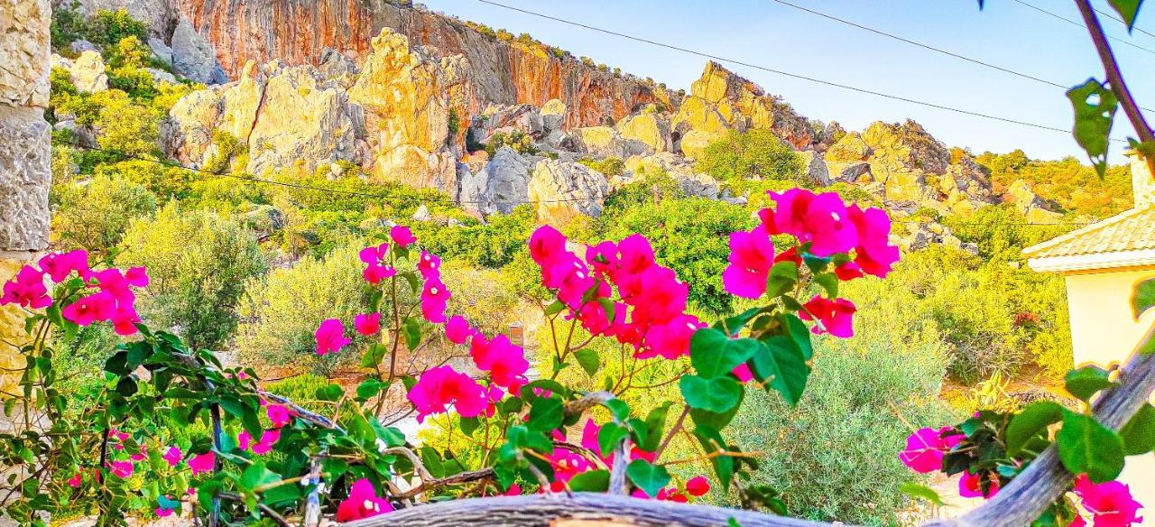Avatonblue Nafplio