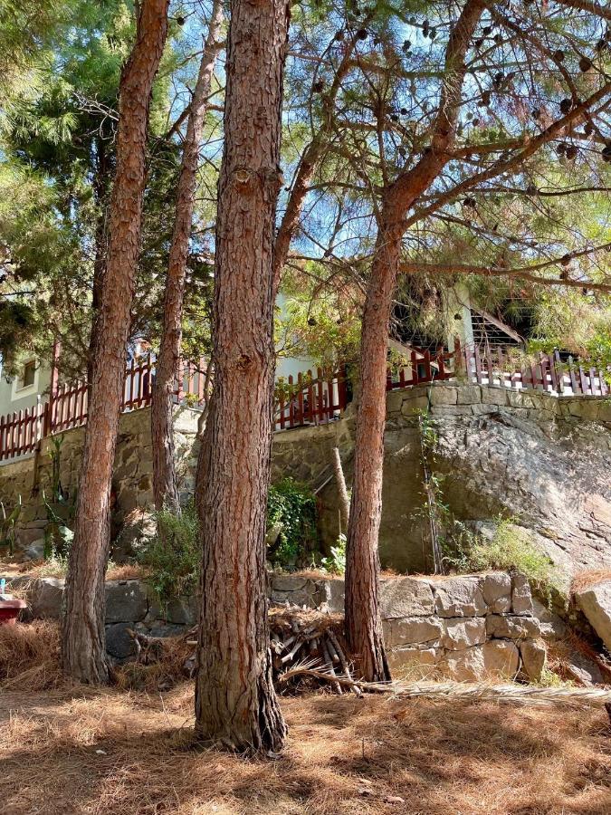 Kalyva Holiday home Myrina