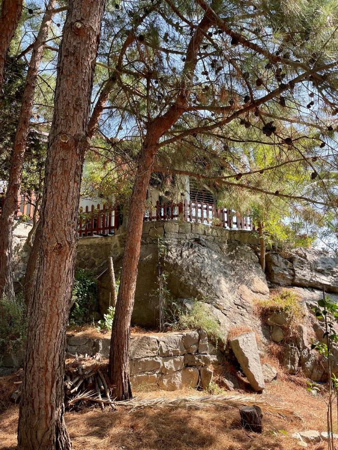 Holiday home Kalyva Myrina
