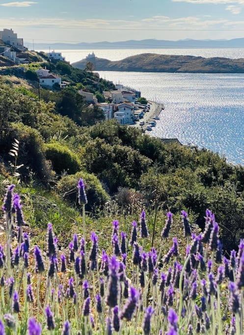 Faros Kea With Private Pool And Stunning Views Villa *