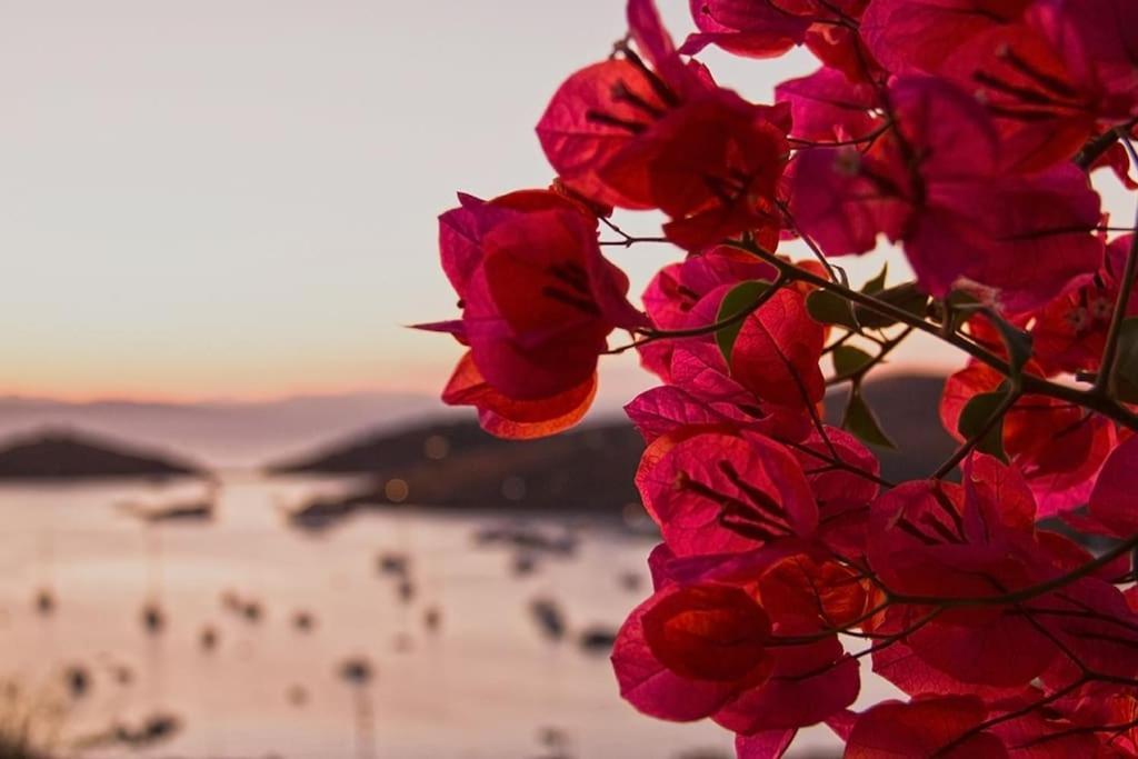 Villa Faros Kea With Private Pool And Stunning Views Vourkari