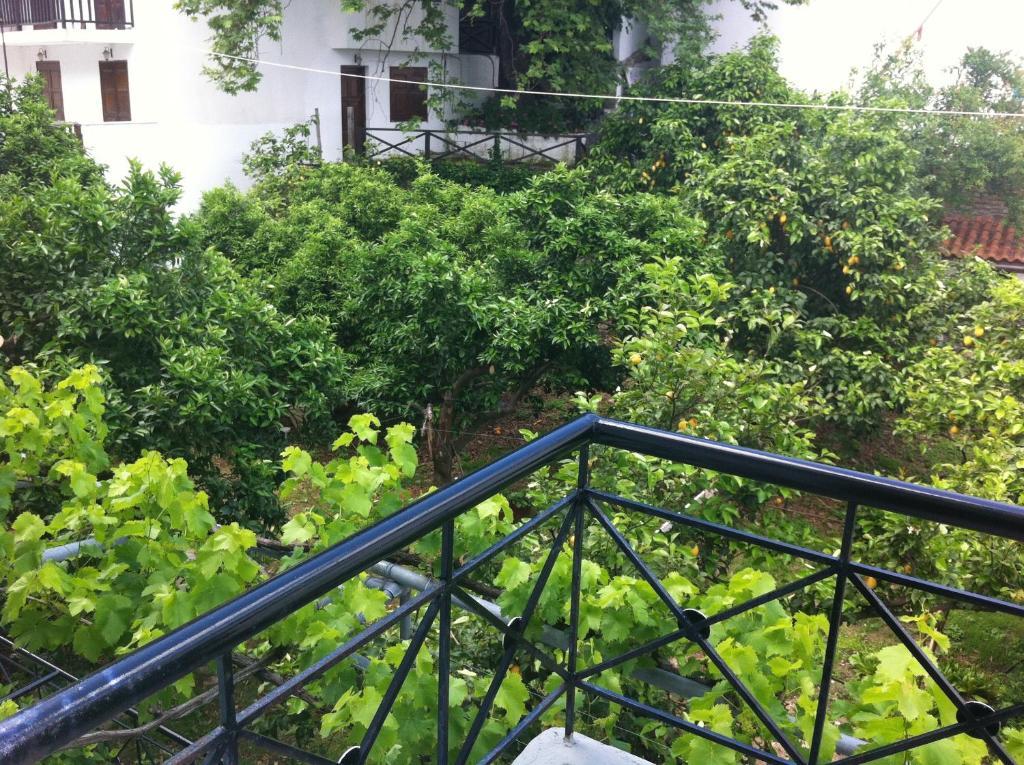 Hotel Eleana 2*