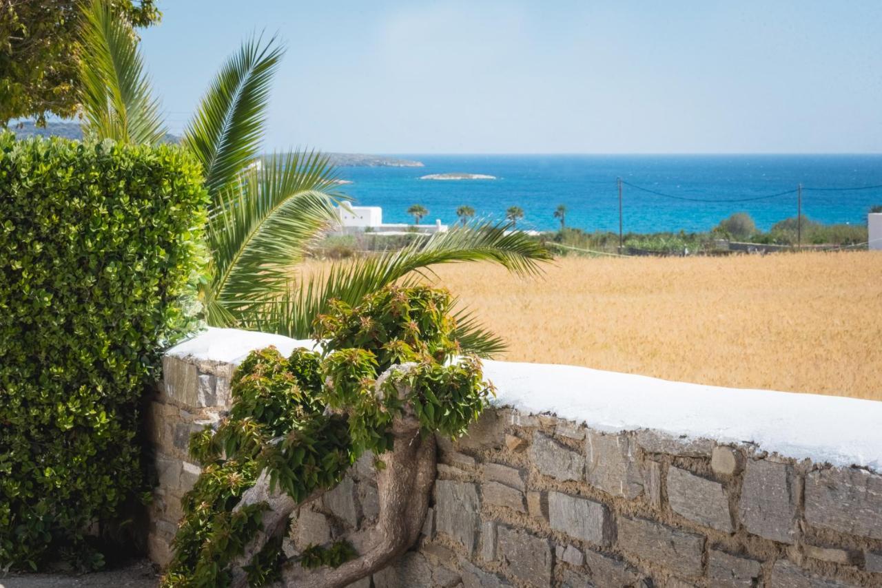 Apartment Navi B2 Brand New 2b/d In Naousa Parikia (Paros)