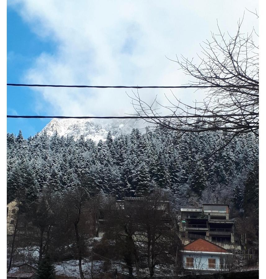αγναντεμα