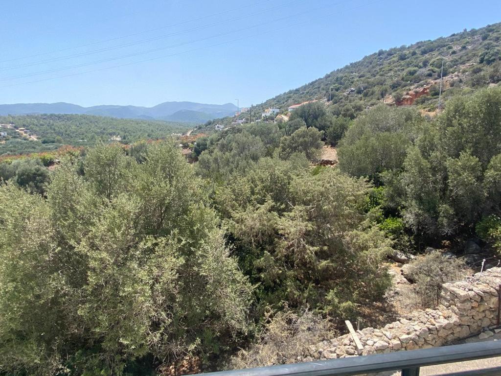 Mirabello Agios Nikolaos (Crete)