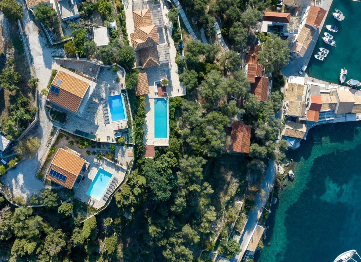 Pangolas Paxos